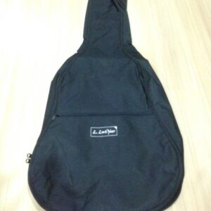 BG 100 THIN PADDED BAG