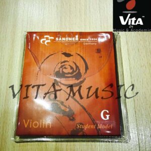 Violin String Set