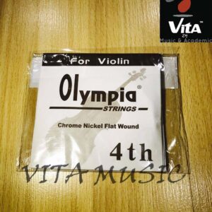 Violin String Set